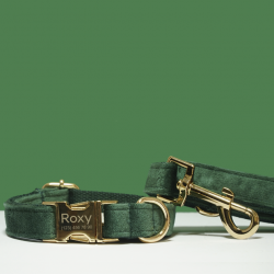 Зеленый ошейник для собак бархатный + поводок, бабочка и сумочка, гравировка имени, XL (37-60 см)